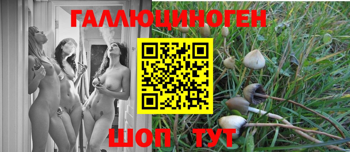 Псилоцибиновые грибы ЛСД  Вход с VPN  Полысаево 